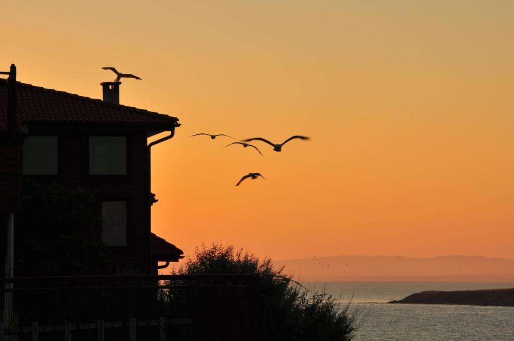 Deep Blue Guest House Sozopol Exterior foto